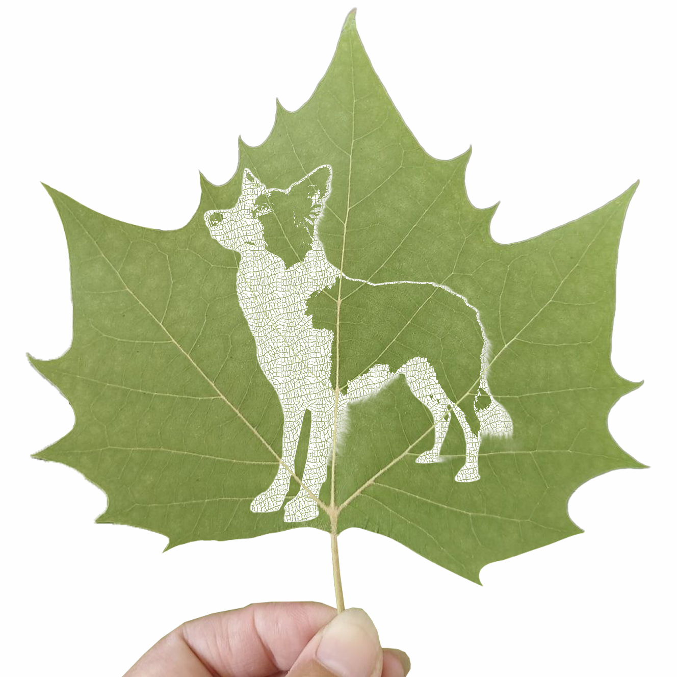 Custom leaf carving pet portrait from China, eco memorial gift, ships in 12-16 days